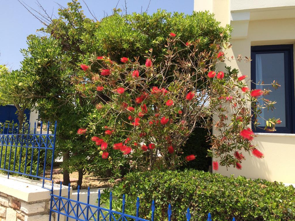 Sea Breeze Apartments Chios Monolia Extérieur photo